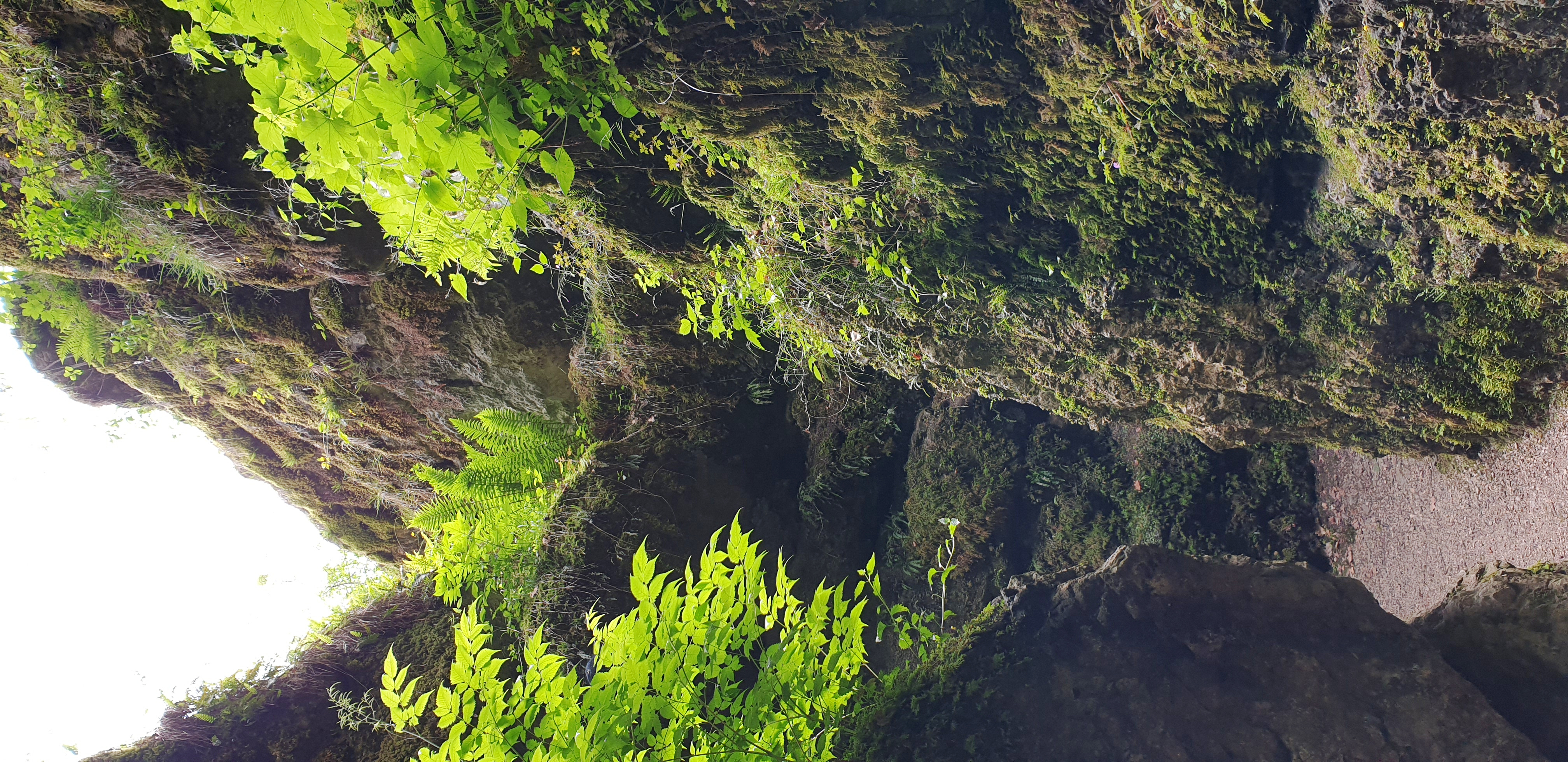 20190610_115546