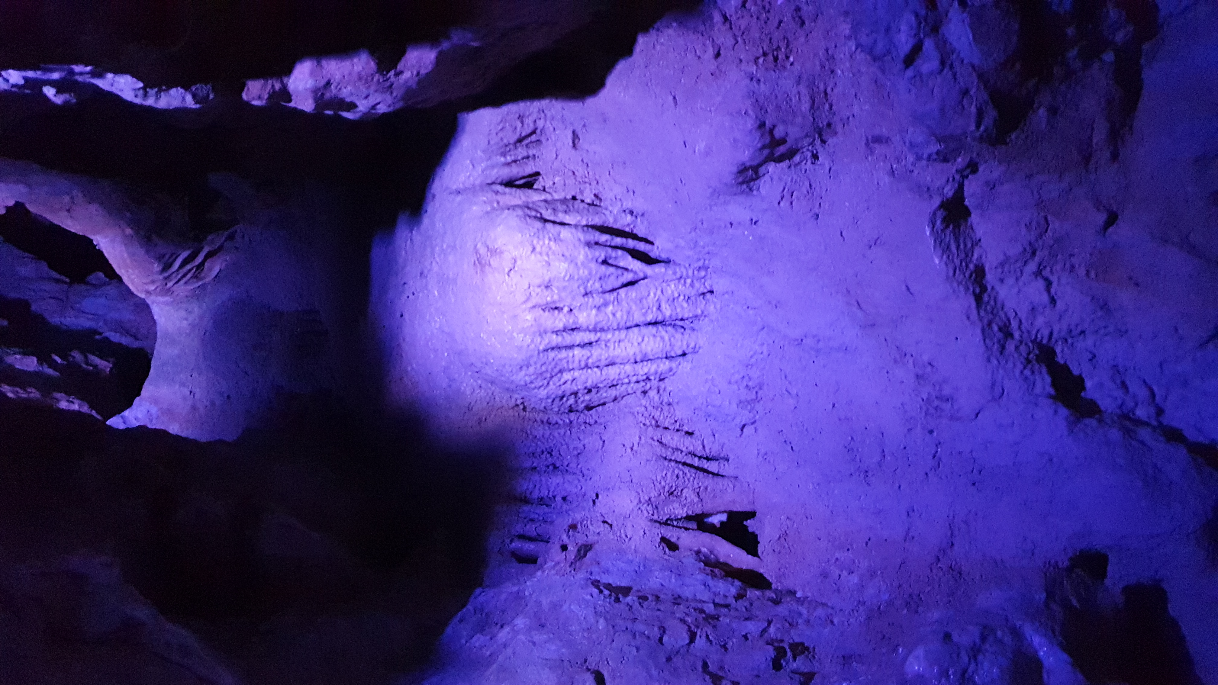 20190610_113841