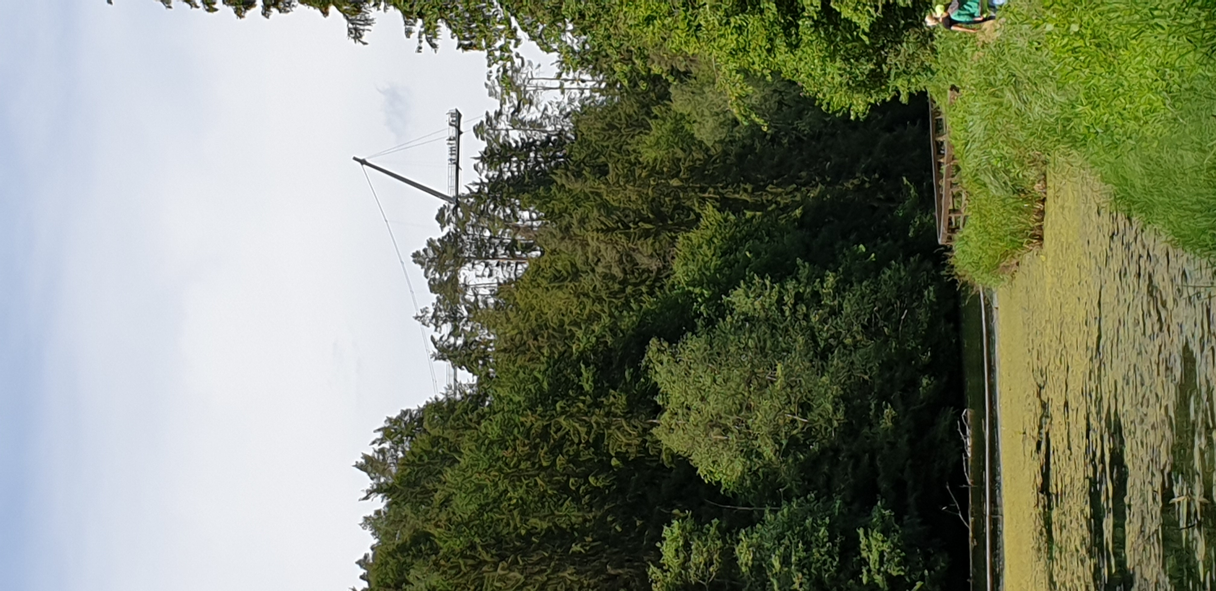 20190610_140807