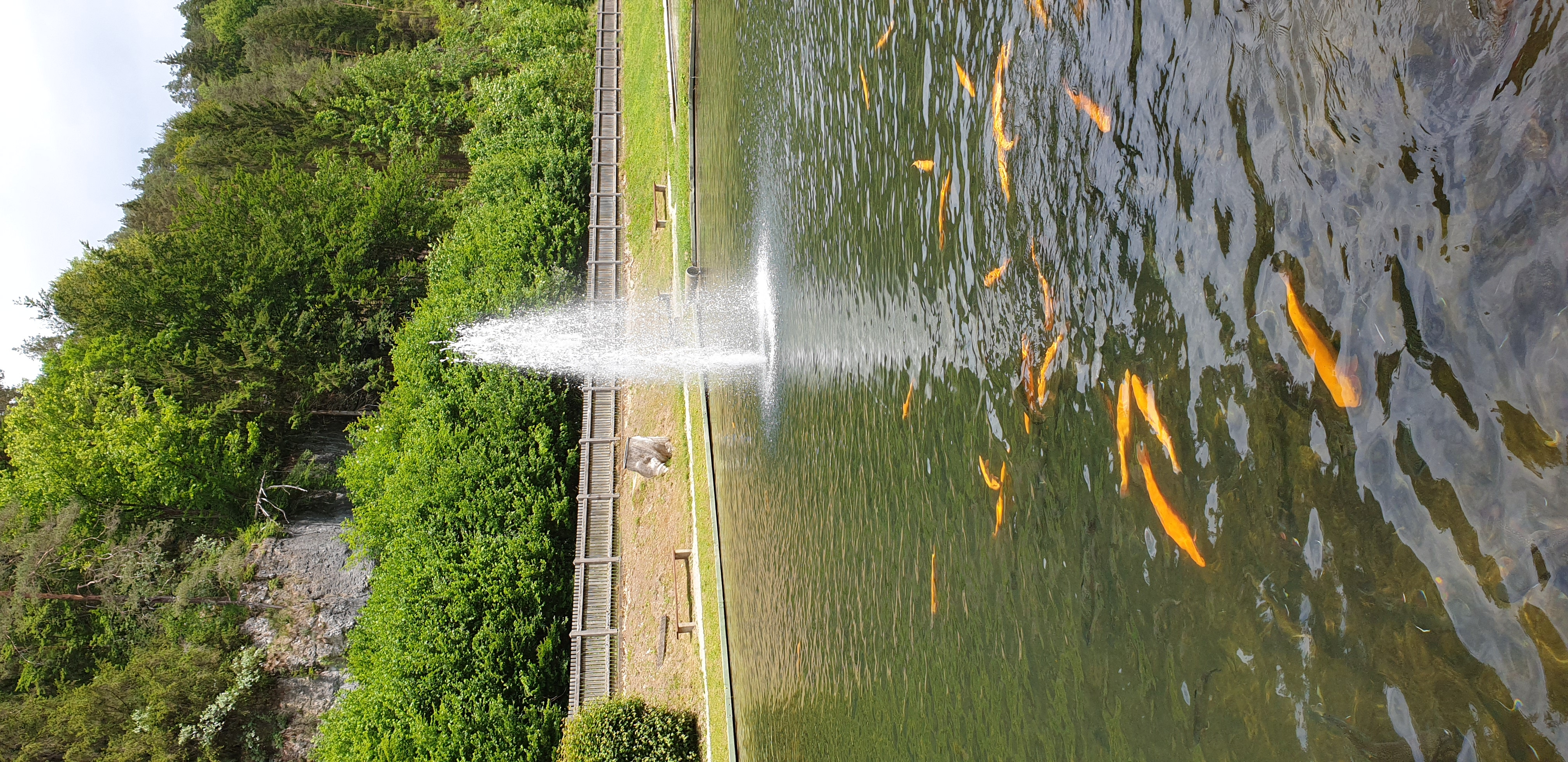 20190610_133859