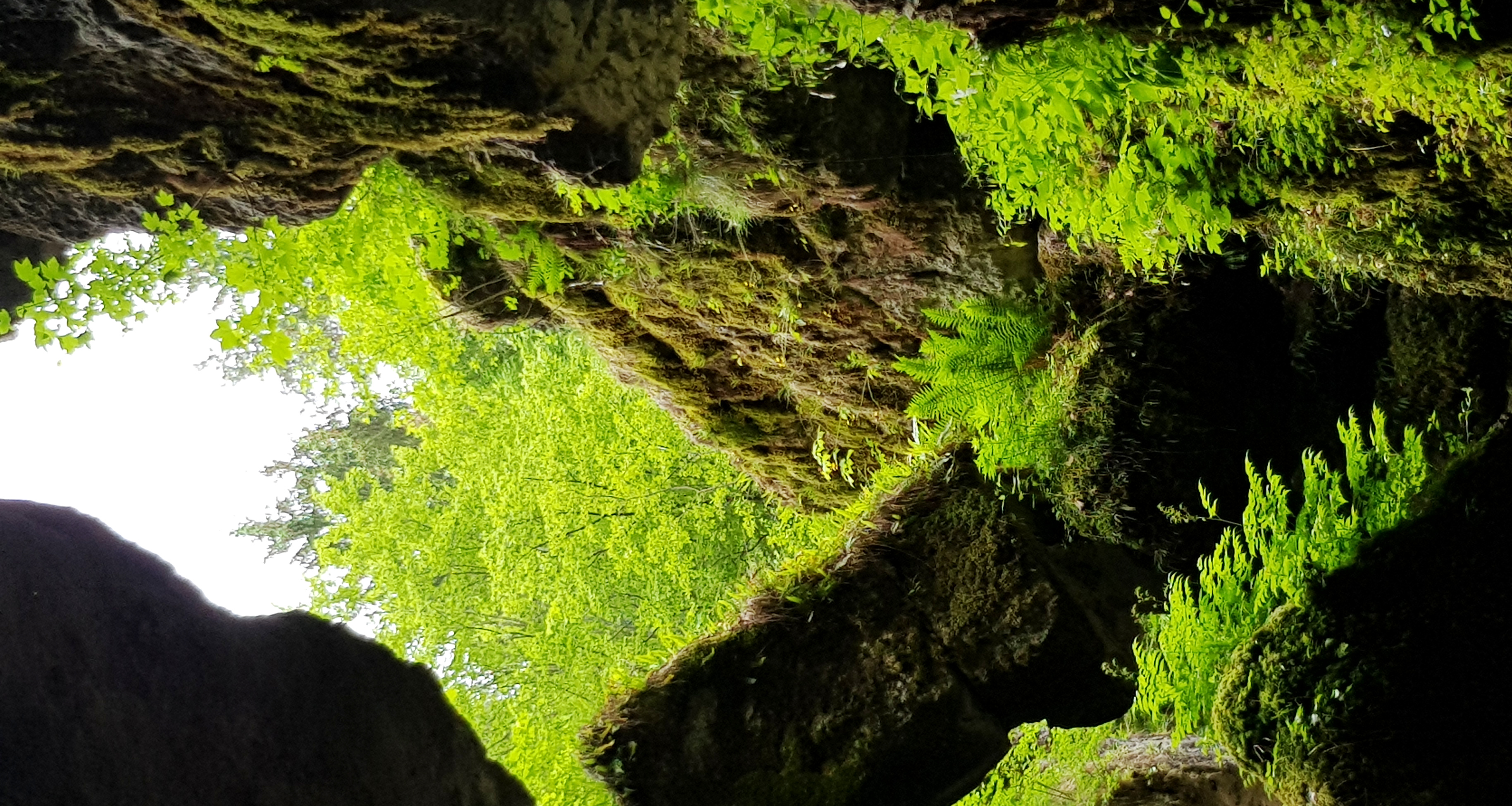 20190610_115514