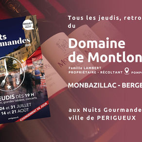 Retrouvez Louis & Eliot du Domaine aux Nuits Gourmandes de la Ville de Périgueux  !