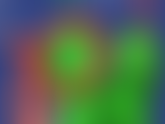 【KOSS公開研究会】揺らぐ身体からの連帯——ラテンアメリカにおけるフェミニズム運動