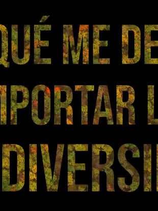 ¿Porqué me debería importar la (bio)diversidad?