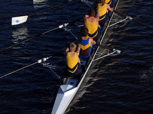 NPS que guían la estrategia de marca