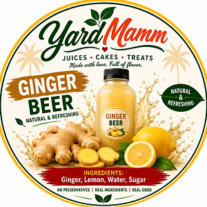 Homemade gingerbeer drink