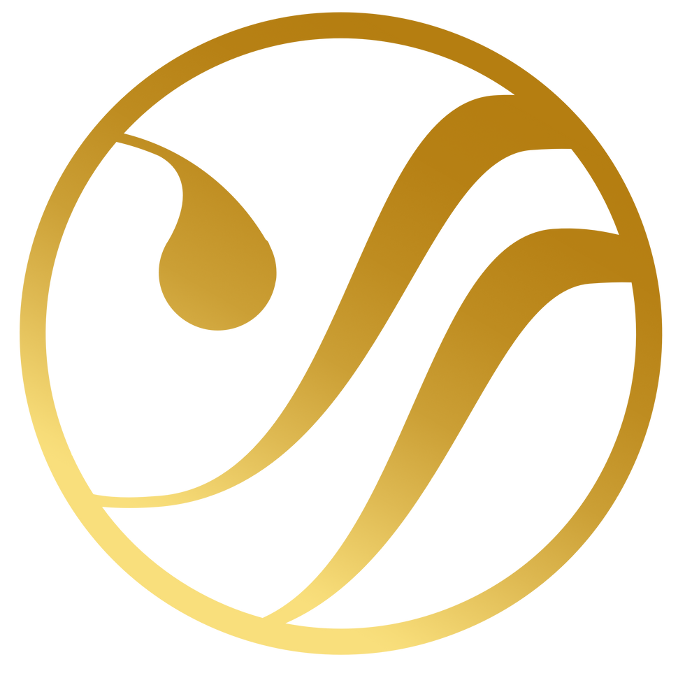 logo colorida brazaão.png