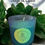 Thumbnail: 8 Oz Soy Candle