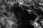 DSCF7536.jpg