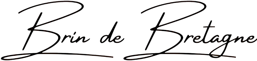Brin de bretagne logo noir.png