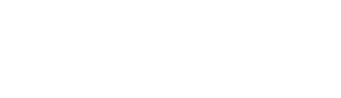 white LOGO.png