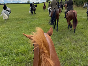 Keeping active over winter