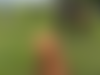 Keeping active over winter