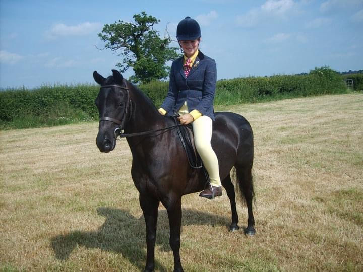 Show Hunter Pony Turnout