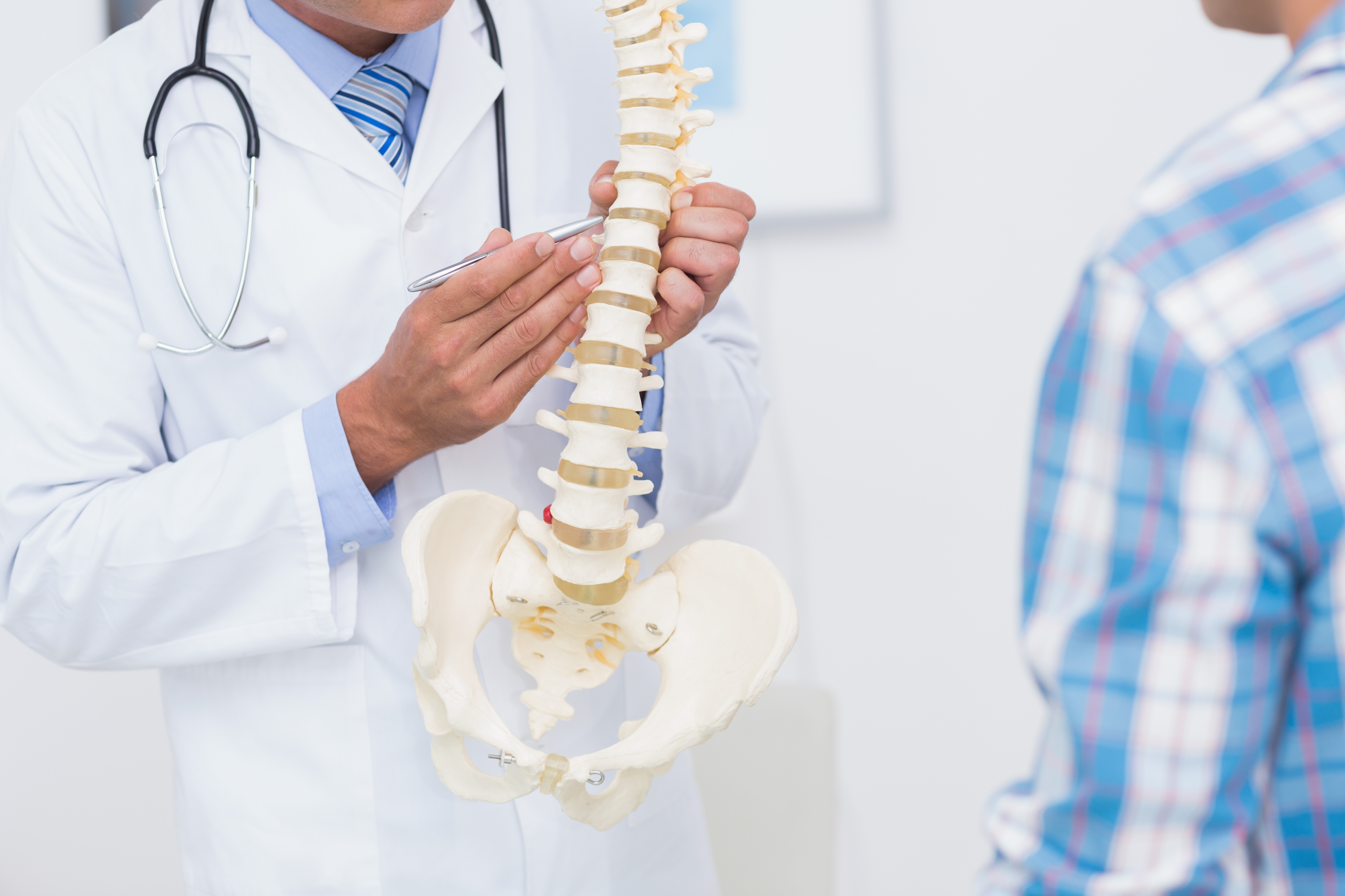 Chiropractor Fall River, Chiropractor New Bedford Menard Chiro Chiropractor Fall River, Chiropractor New Bedford Menard Chiro