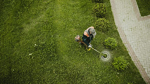 landscape services ma.jpeg