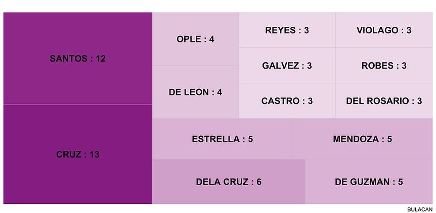 3treemap-BULACAN.jpg