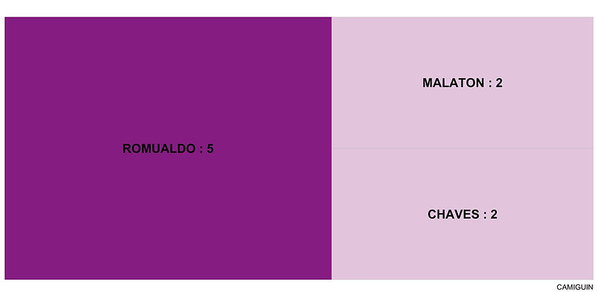 3treemap-CAMIGUIN.jpg