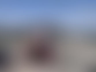 Meet Our New Program Coordinator