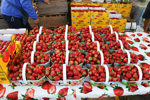 Strawberries at the Charlo Fall Fair