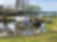IMG_1777.JPEG