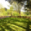 IMG_8807.jpeg