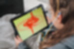 Neurofeedback