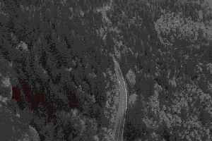 Cummins_banner_animado_portalOut2019.gif