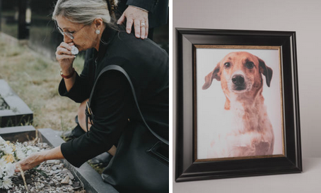 La Thanadoula Littéraire : Accompagner la fin de vie par l’écrit