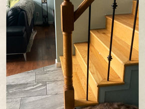 Yoshi Baxter (2009-2023)