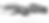 Untitled1.png
