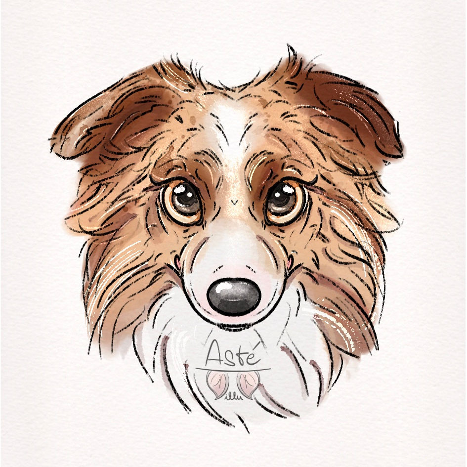 Miniature : Sticker - Bouille de Border
