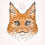 Miniature : Sticker - Bouille de Coons