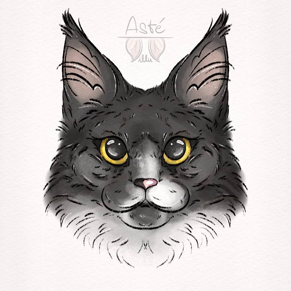 Miniature : Sticker - Bouille de Coons