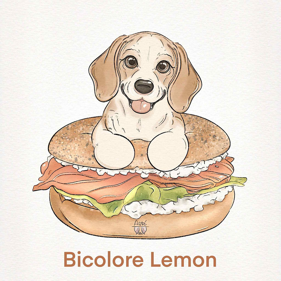 Miniature : Print "Beagle Bagel"