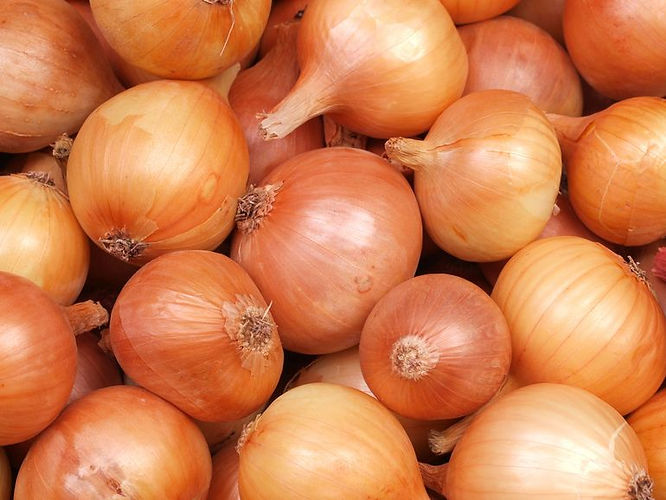 onion-gold.jpg
