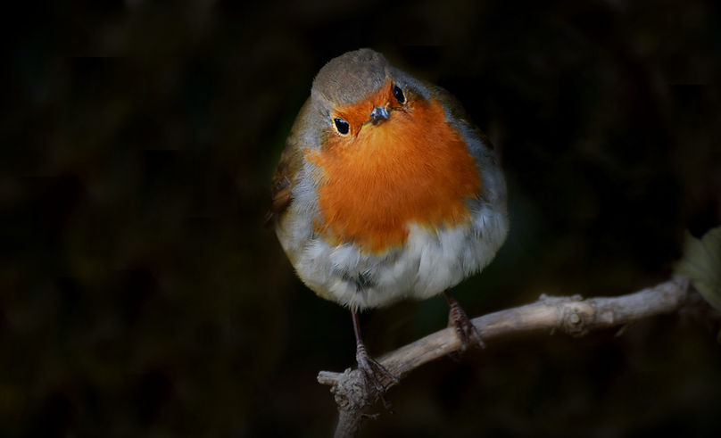 DSC_0128.jpg
