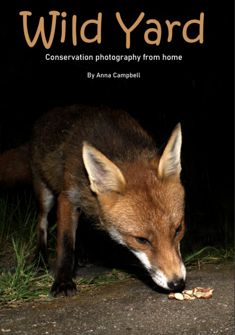 Wild Yard - my book on conservation photography from home produced over lockdown. My story as a photographer.