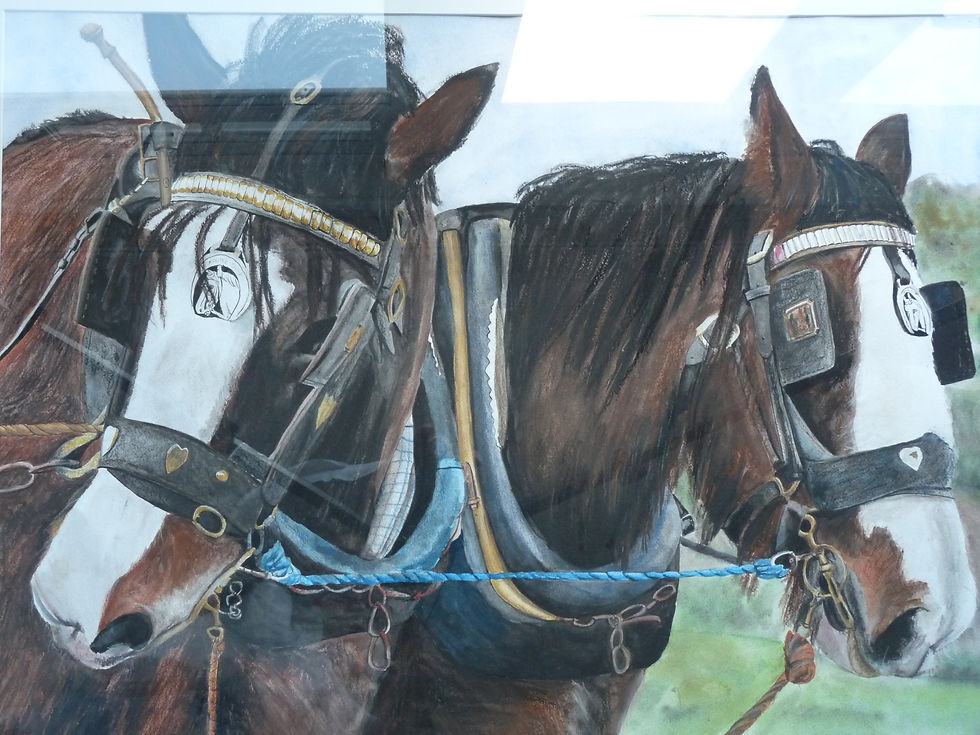 My story as a photographer, conservationist and outdoor enthusiast. GSCE art work of horses in watercolour - painted from my photo taken at the Ulster Folk and Transport museum.