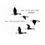 Thumbnail: Migrating Geese cards - pack of 10