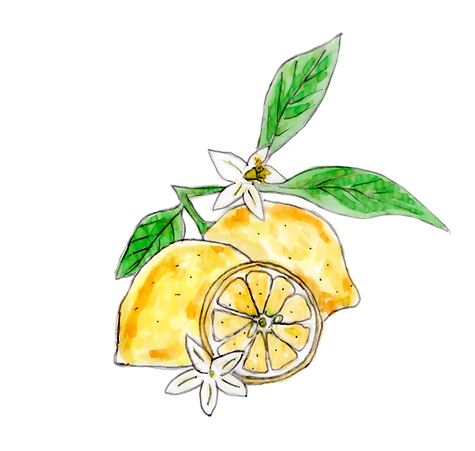 citron_edited_edited.png