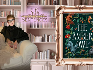 The Amber Owl by Juliet Marillier Book Review