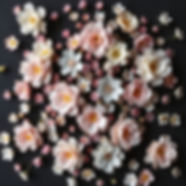 dark background covered with small ornate pastel flowers.jpg