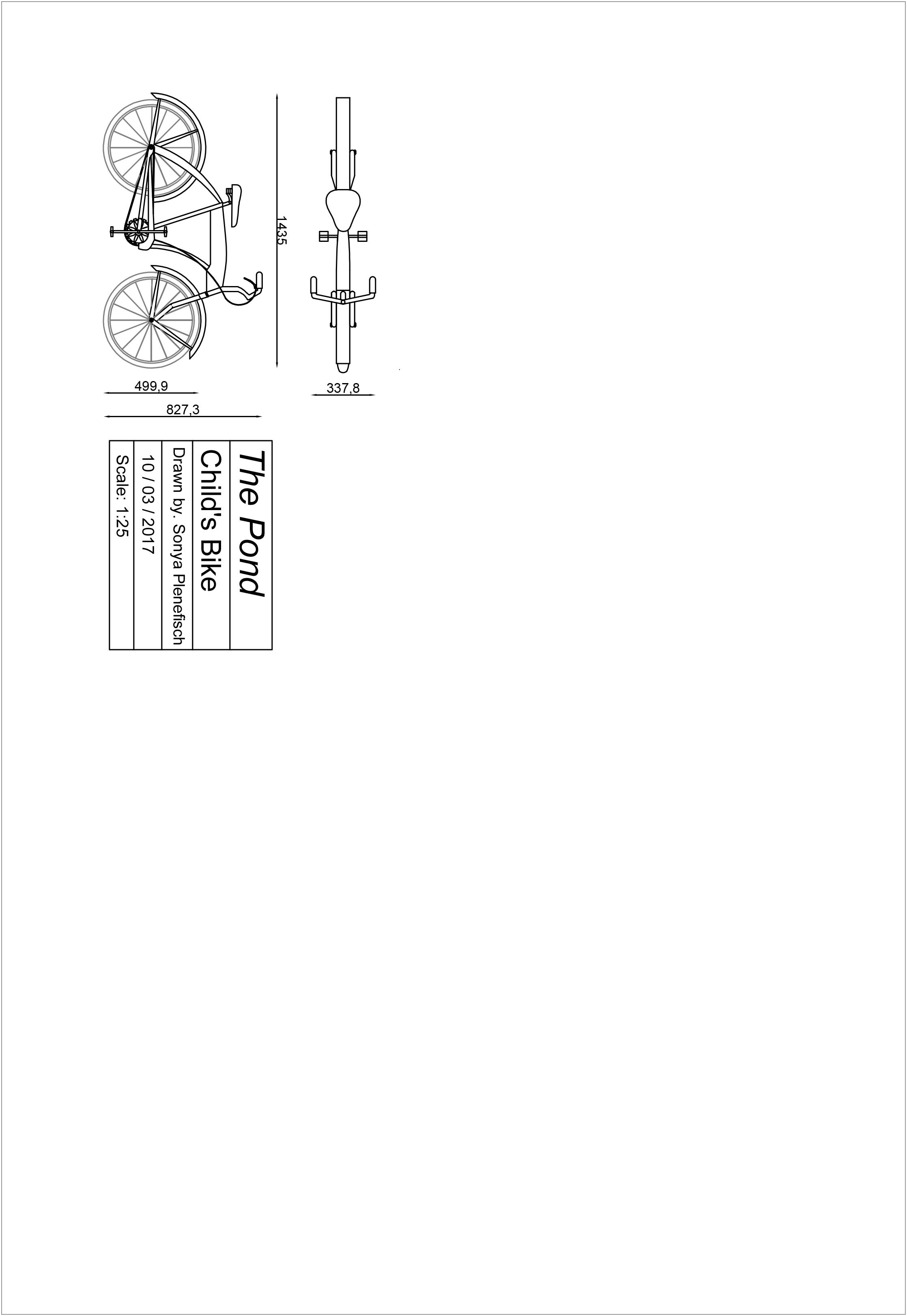 The Pond Bike