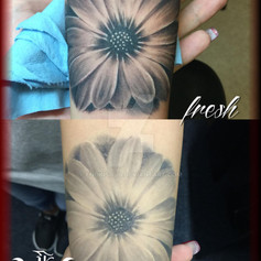 daisy_tattoo_fresh_and_healed_tattoo_by_enoki_soju_by_enokisoju_db763nv-fullview.jpeg