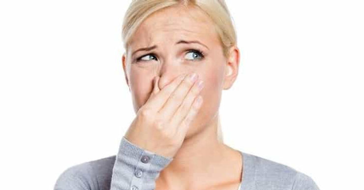 Smelling mold in the home or business