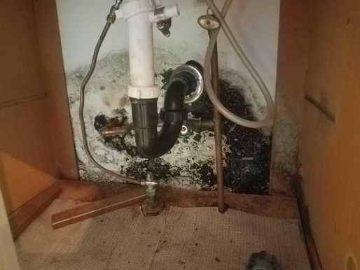 5 WAYS YOU CAN DO TO PREVENT MOLD GROWTH IN YOUR HOME