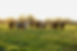 2D006AD2-30AA-425D-AB92-802D1F007D45.jpeg