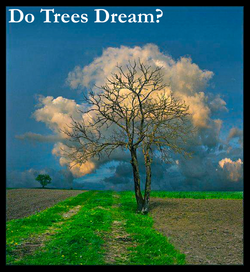 Tree Dreams.jpg