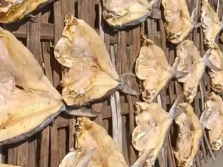 Mengenal Jambal Roti, Oleh-Oleh Ikonik yang Selalu Dicari Wisatawan Pangandaran